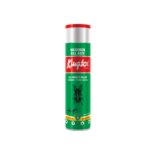 All Insect Killer 300ml